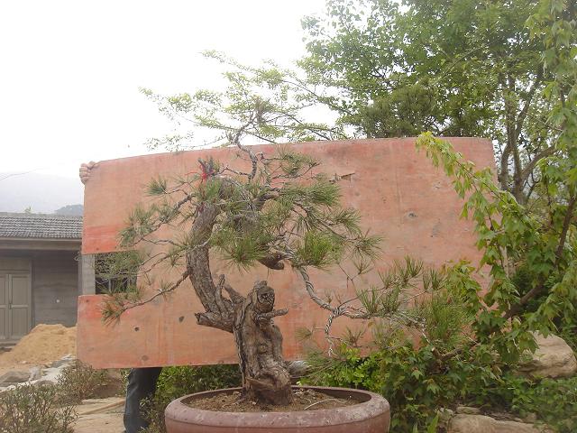 DSC05806.JPG