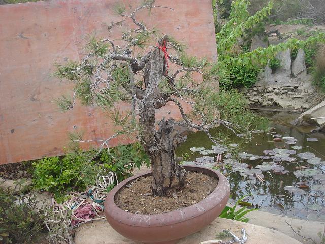 DSC05805.JPG