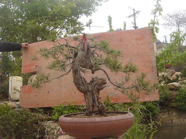 DSC05804.JPG