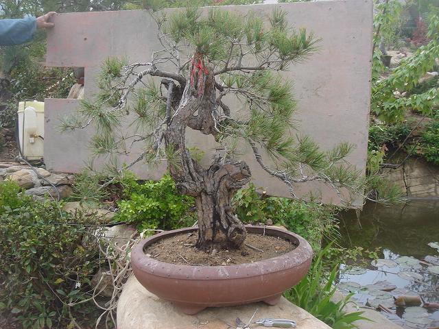 DSC05803.JPG