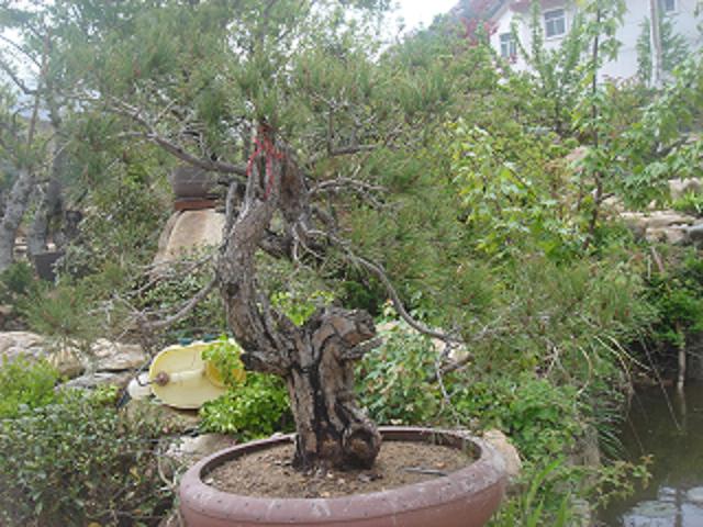 DSC05802.JPG