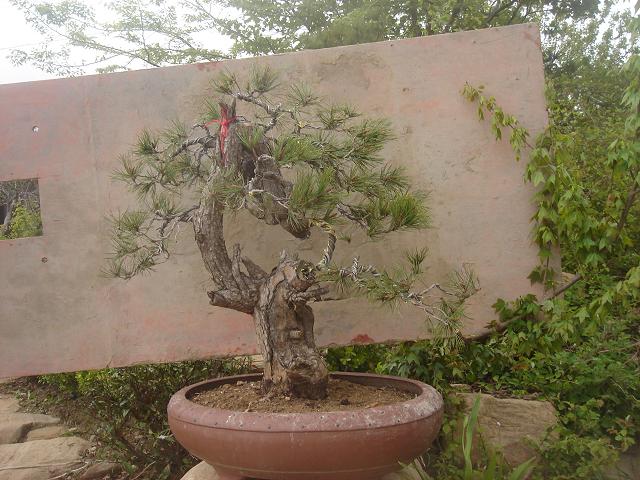 DSC05808.JPG