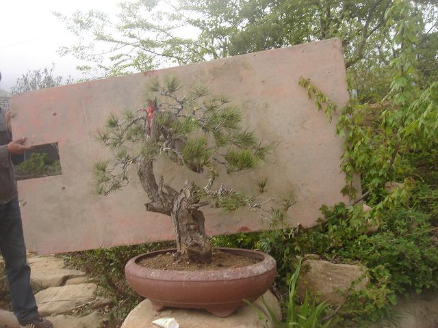 DSC05809.JPG