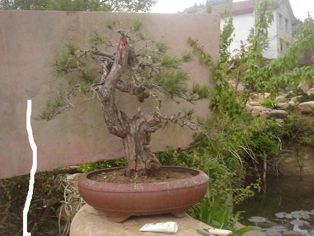 DSC05810.JPG