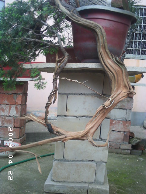 PHOT0035.JPG