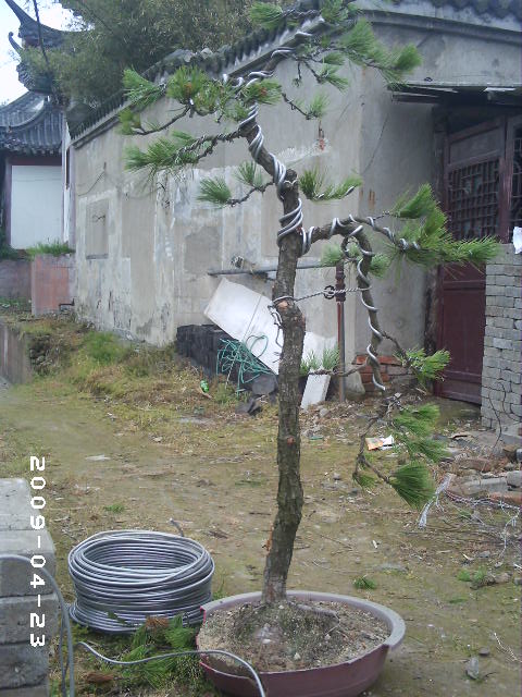 PHOT0049.JPG