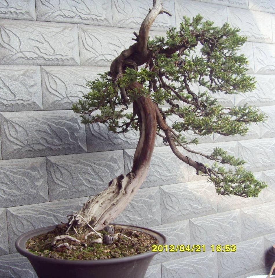Ƭ 006.jpg