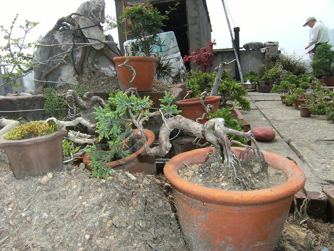 DSCF5787.JPG