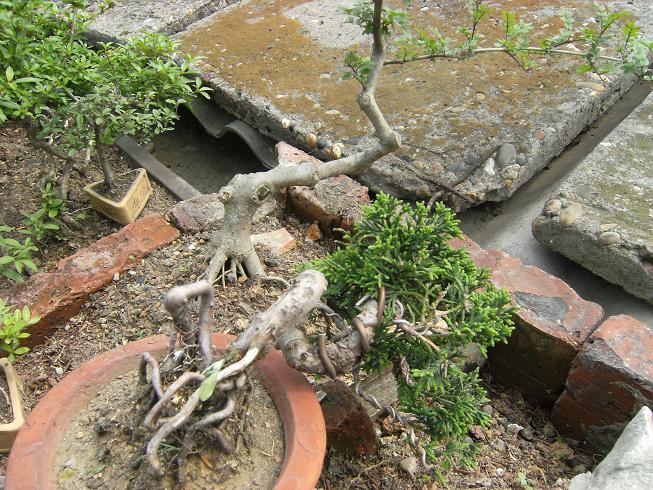 DSCF5790.JPG