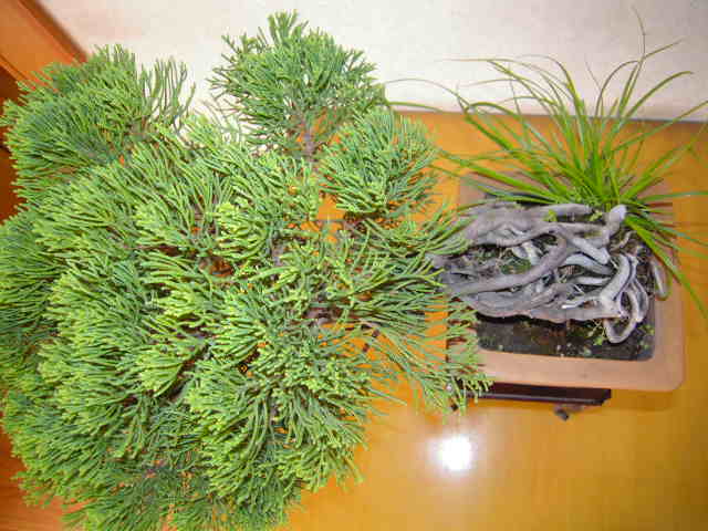 Ƭ 087.jpg