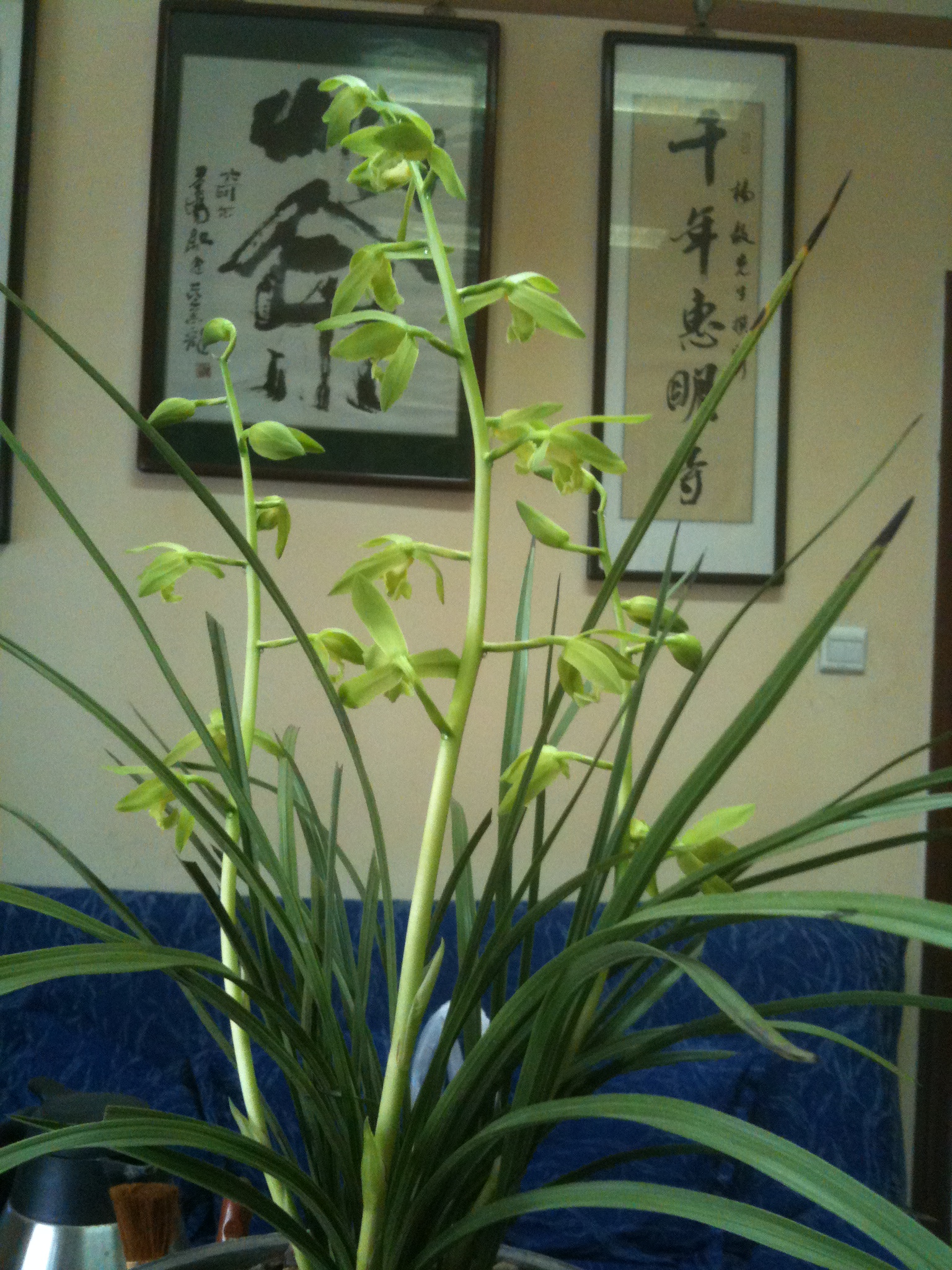 Ƭ 028.jpg