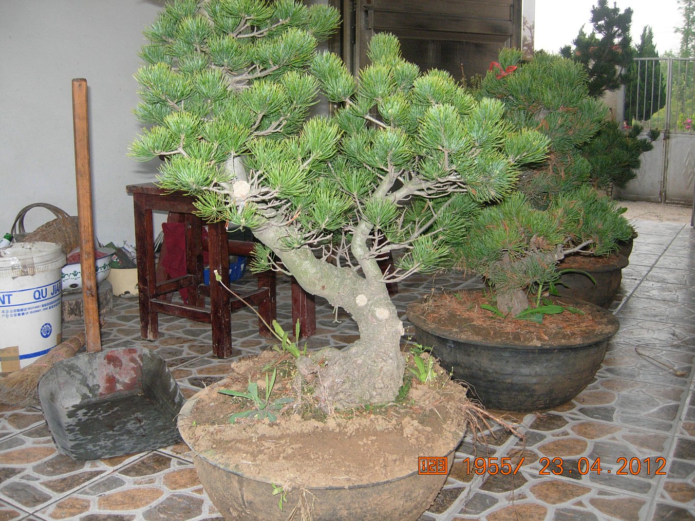DSCN5702.JPG