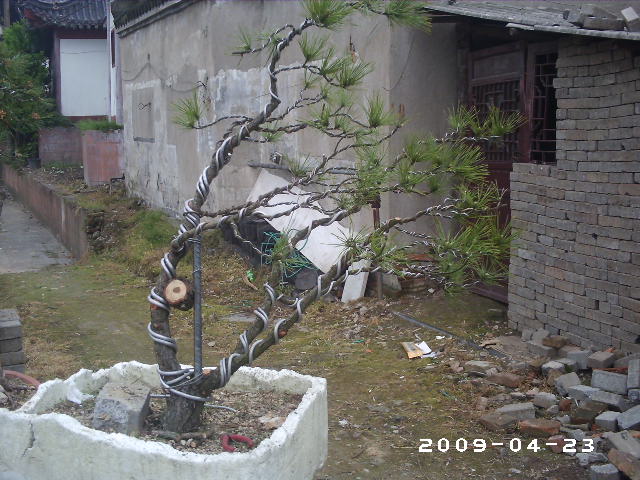 PHOT0038.JPG