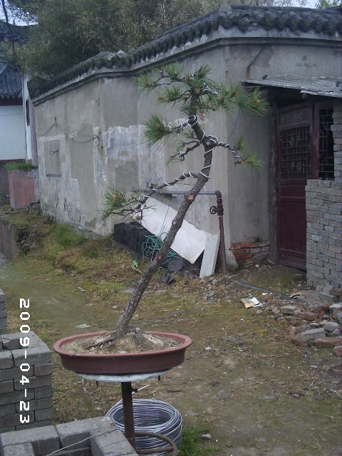 PHOT0040.JPG