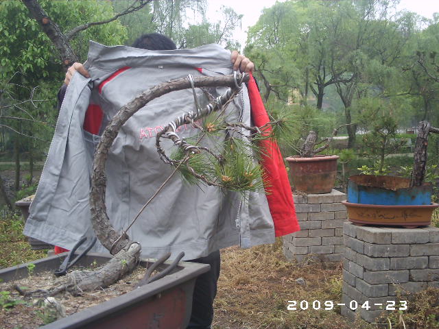 PHOT0045.JPG
