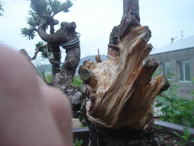 DSC05825.JPG