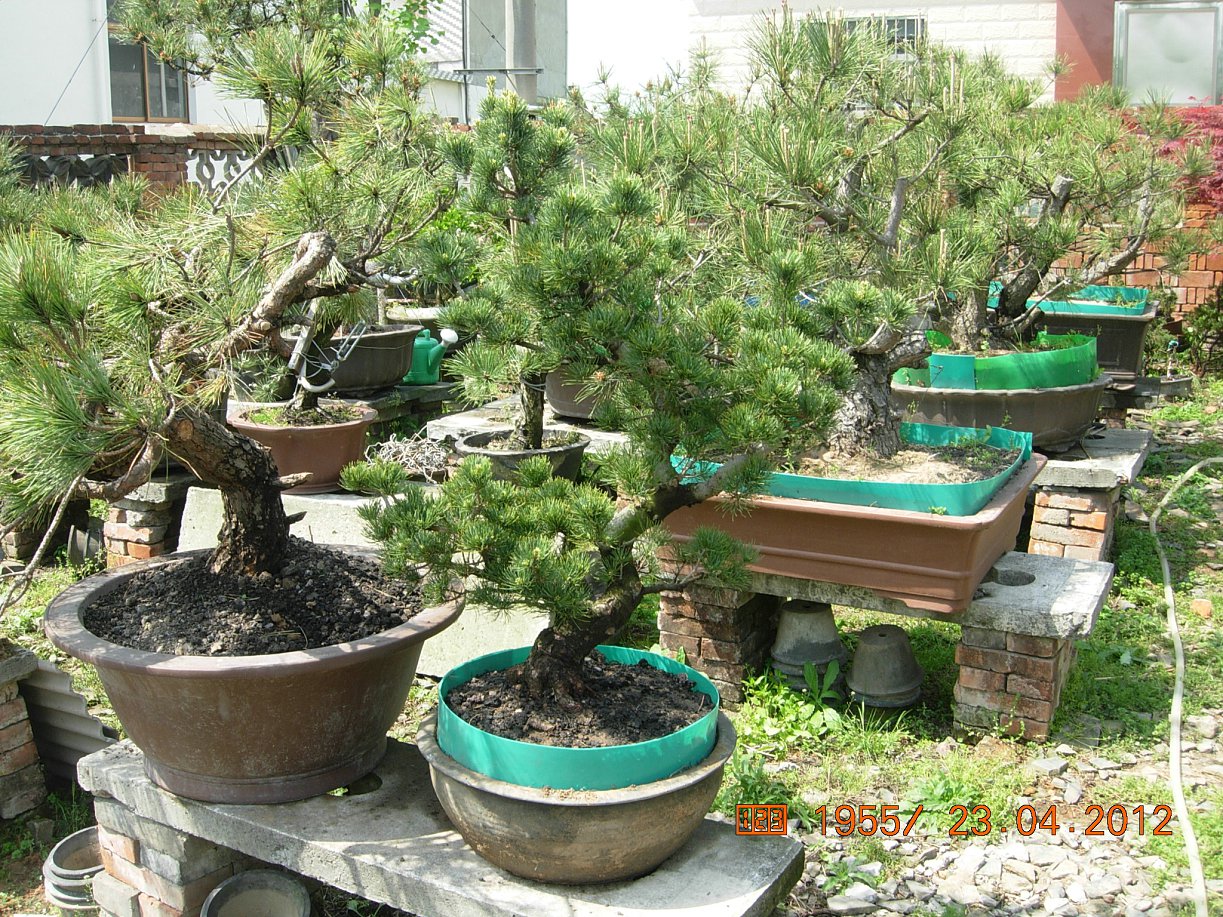 DSCN5737.JPG