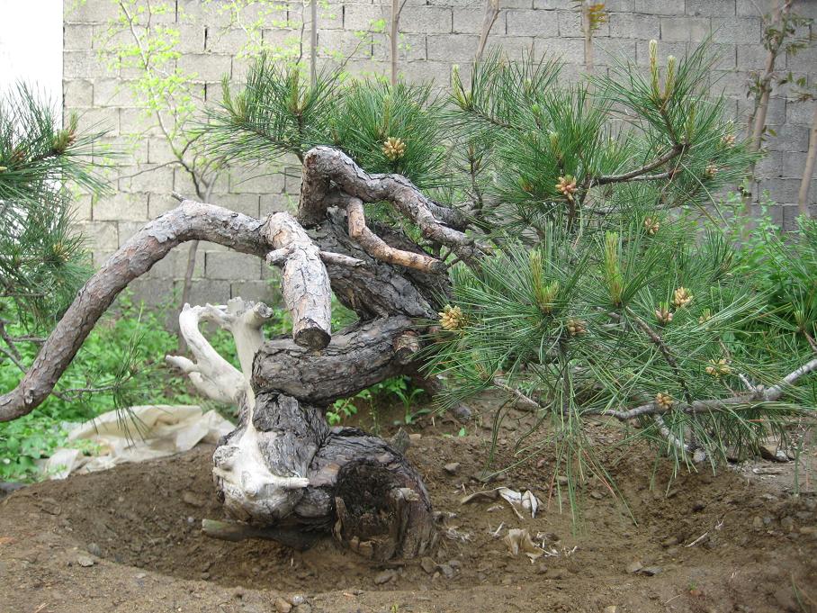 Ƭ 020.jpg