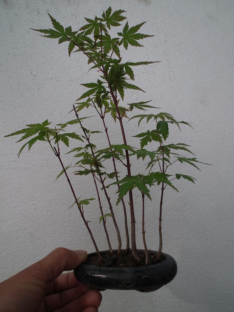 DSCF5567.JPG
