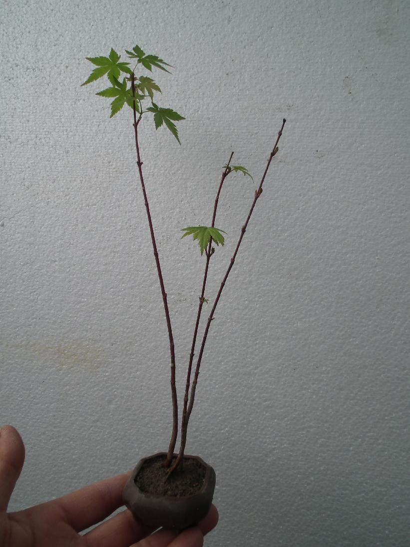 DSCF5568.JPG