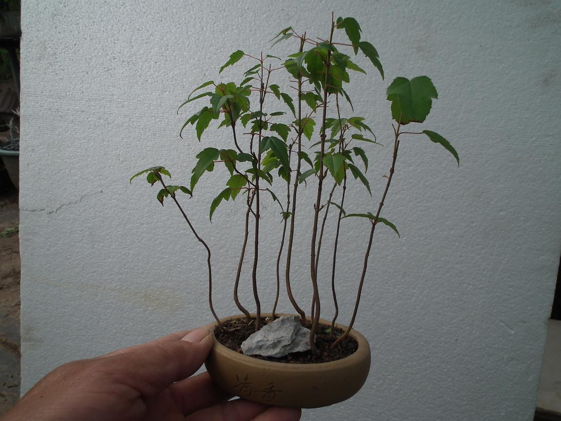 DSCF5569.JPG
