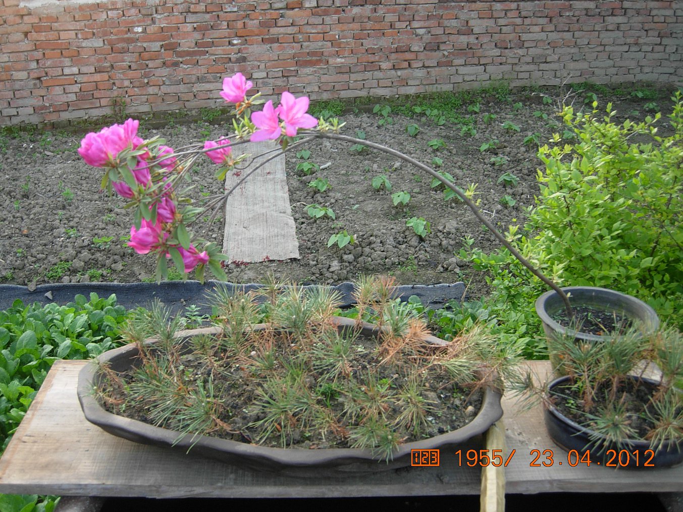 DSCN5711.JPG