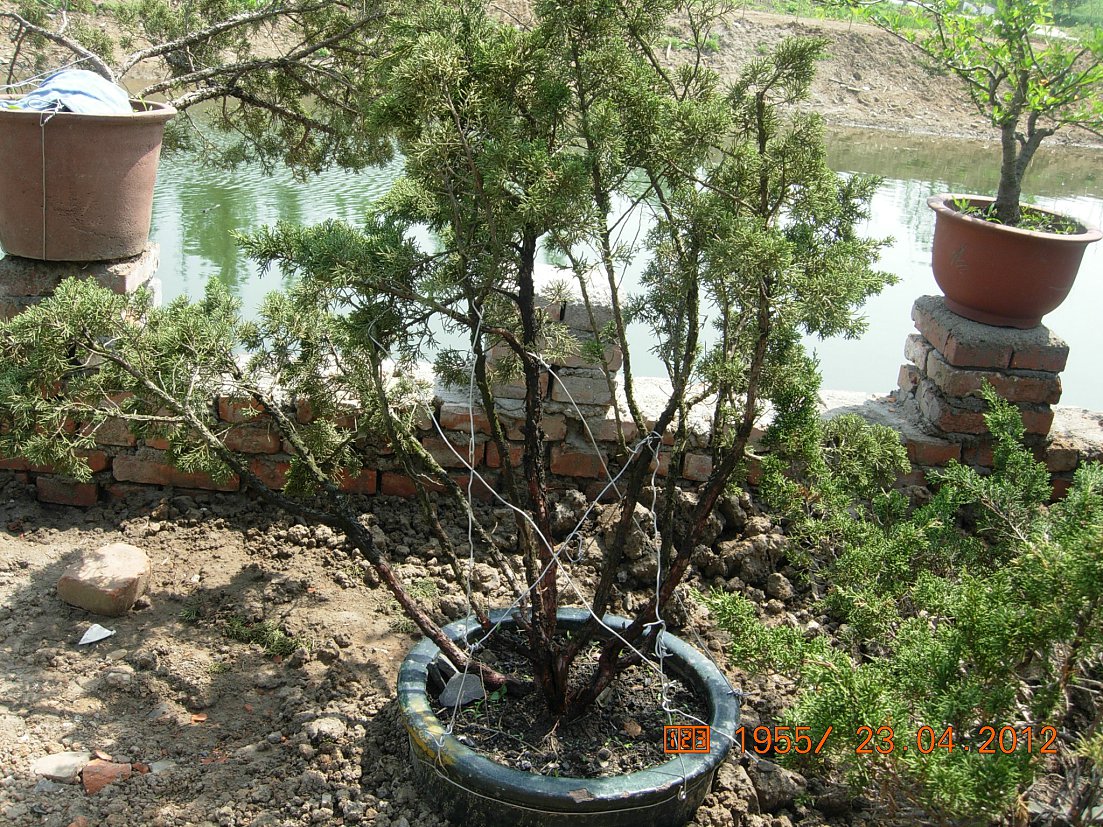 DSCN5743.JPG