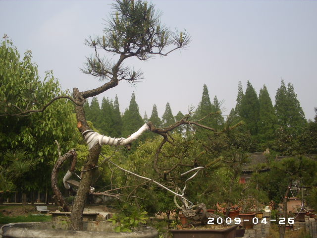 PHOT0051.JPG