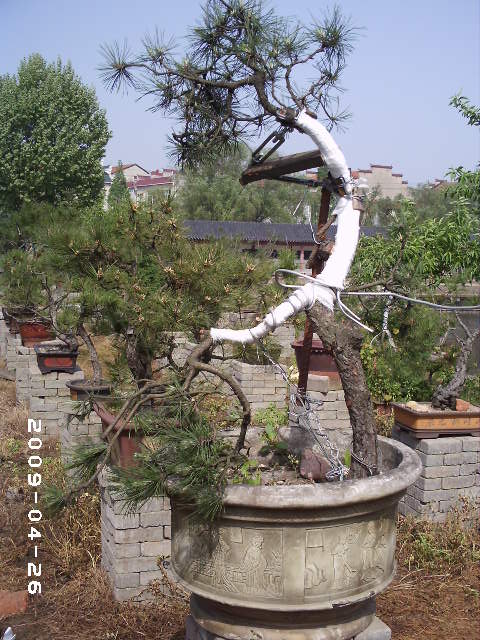 PHOT0052.JPG