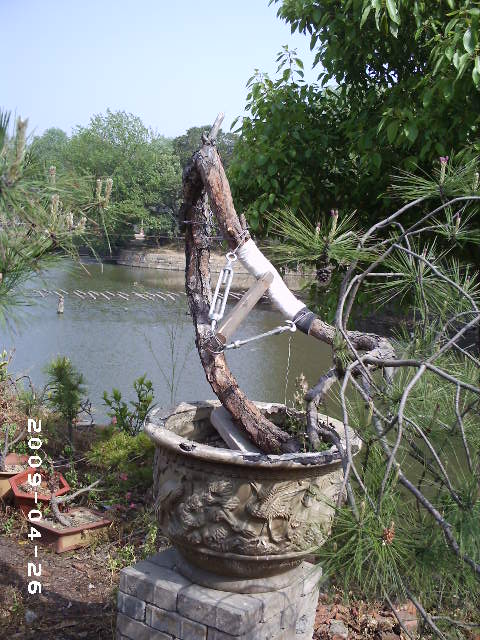 PHOT0055.JPG
