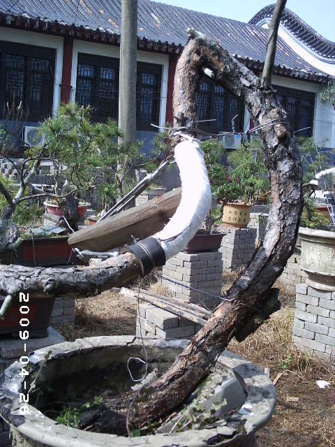 PHOT0054.JPG