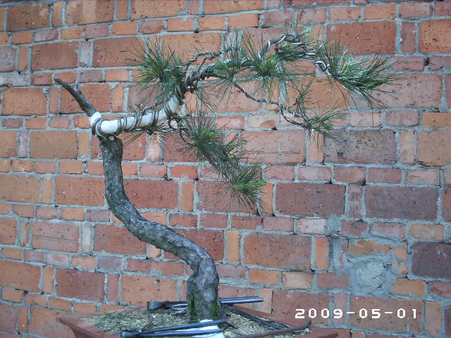 PHOT0071.JPG