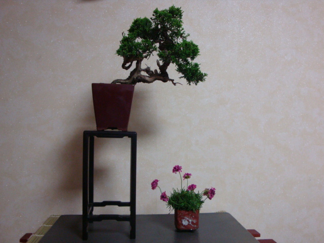 DSC08756.JPG