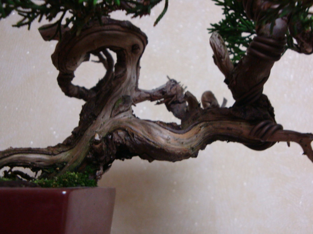 DSC08759.JPG