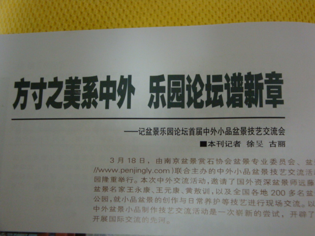 DSC08767.JPG