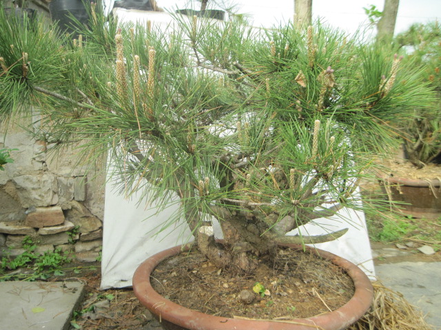 20120429СƬ 023.jpg