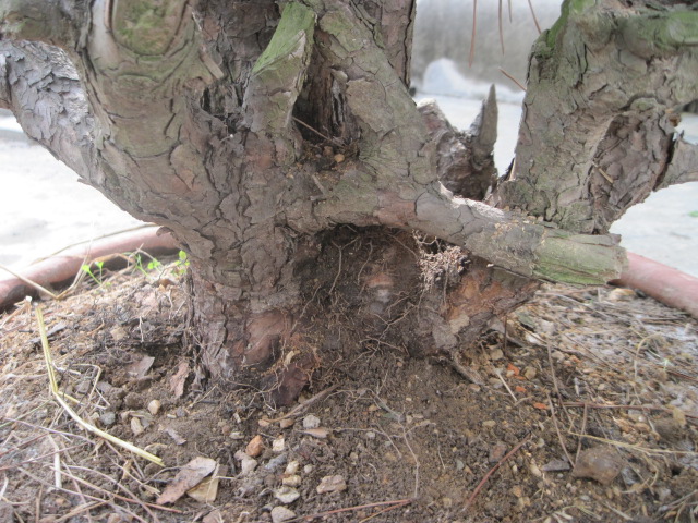 20120429СƬ 026.jpg