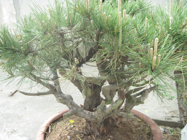 20120429СƬ 027.jpg