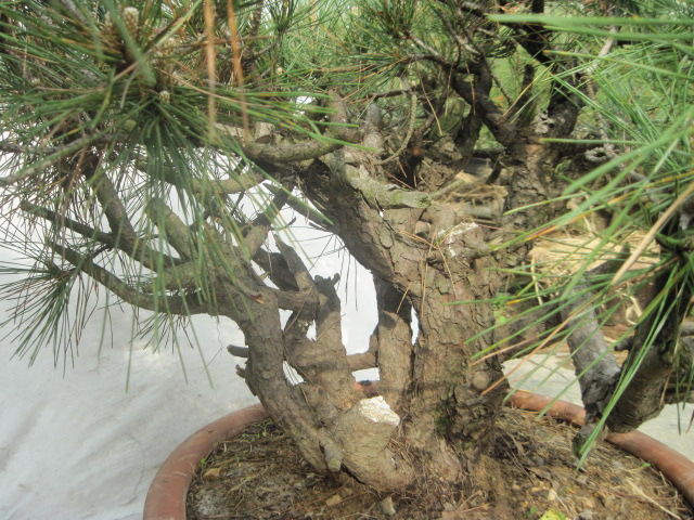 20120429СƬ 029.jpg