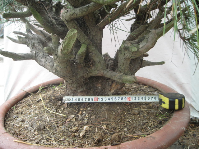 20120429СƬ 034.jpg