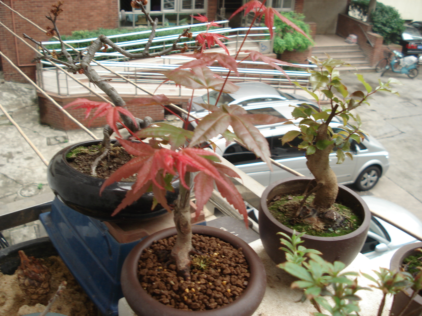 DSC00904.JPG