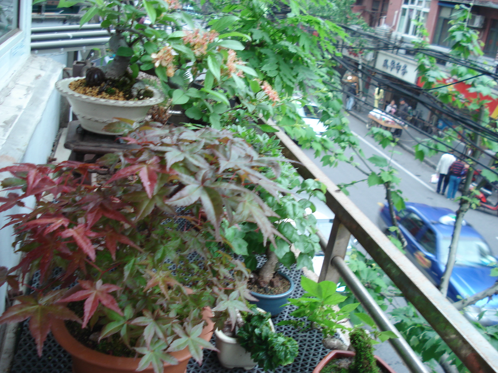 DSC00905.JPG