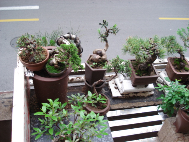 DSC00913.JPG