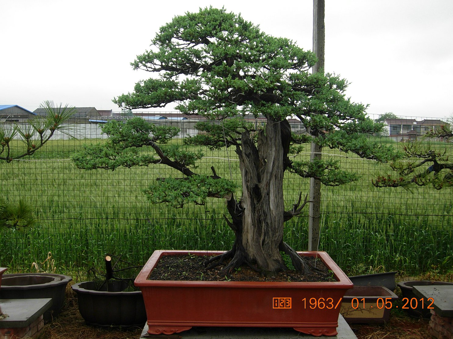 DSCN6089.JPG