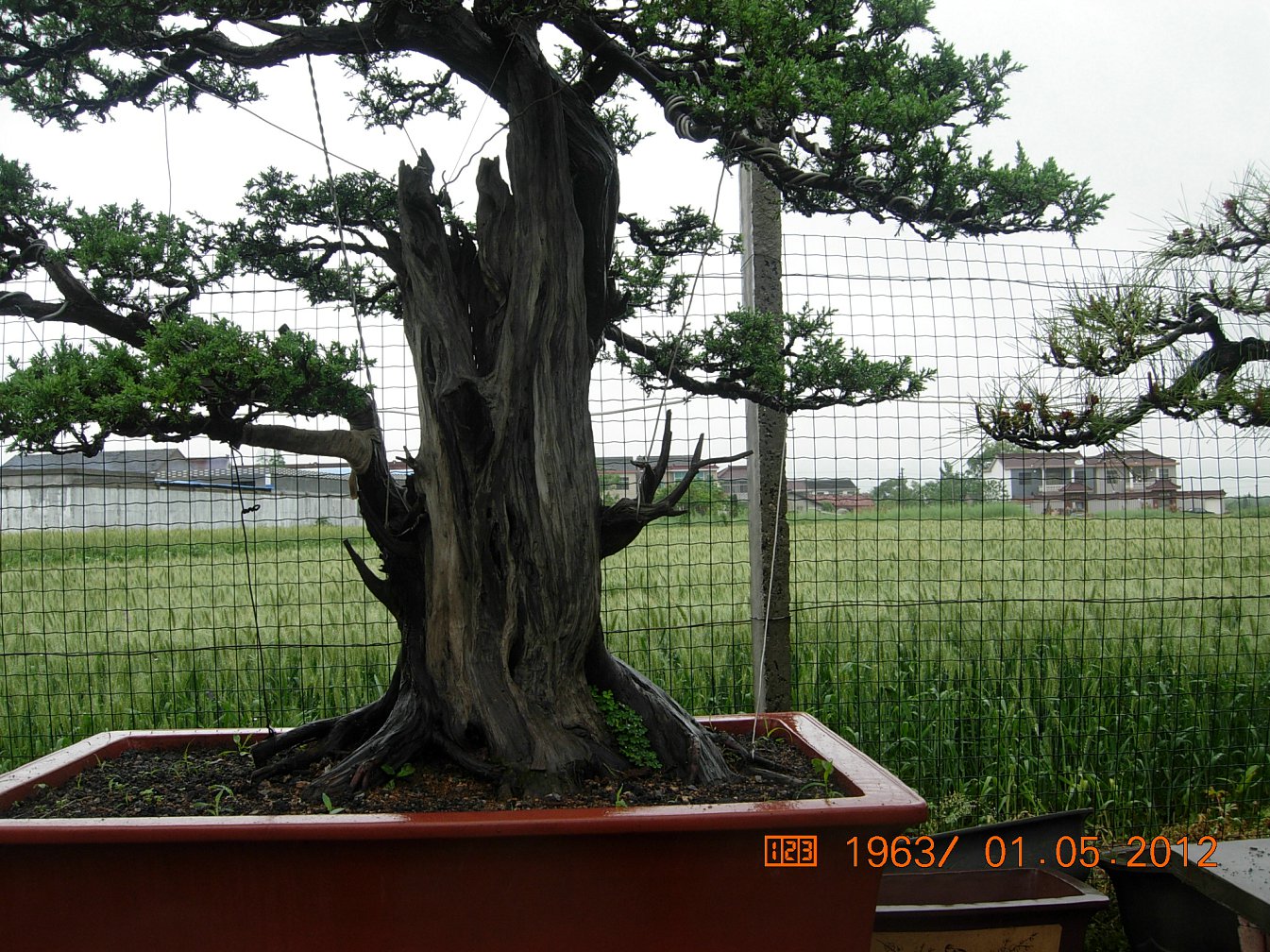 DSCN5993.JPG