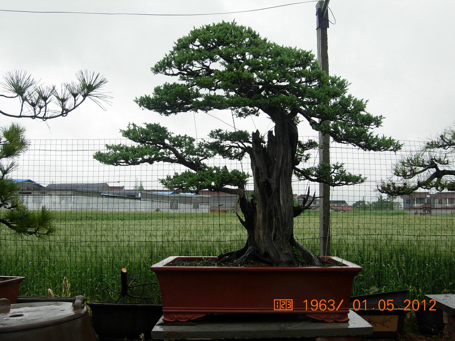 DSCN5987.JPG