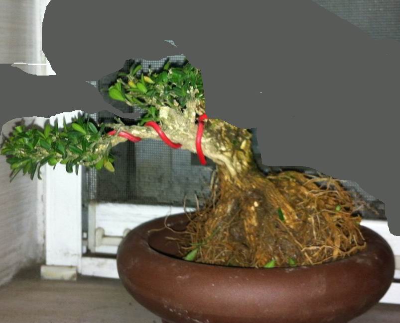 ޸.jpg