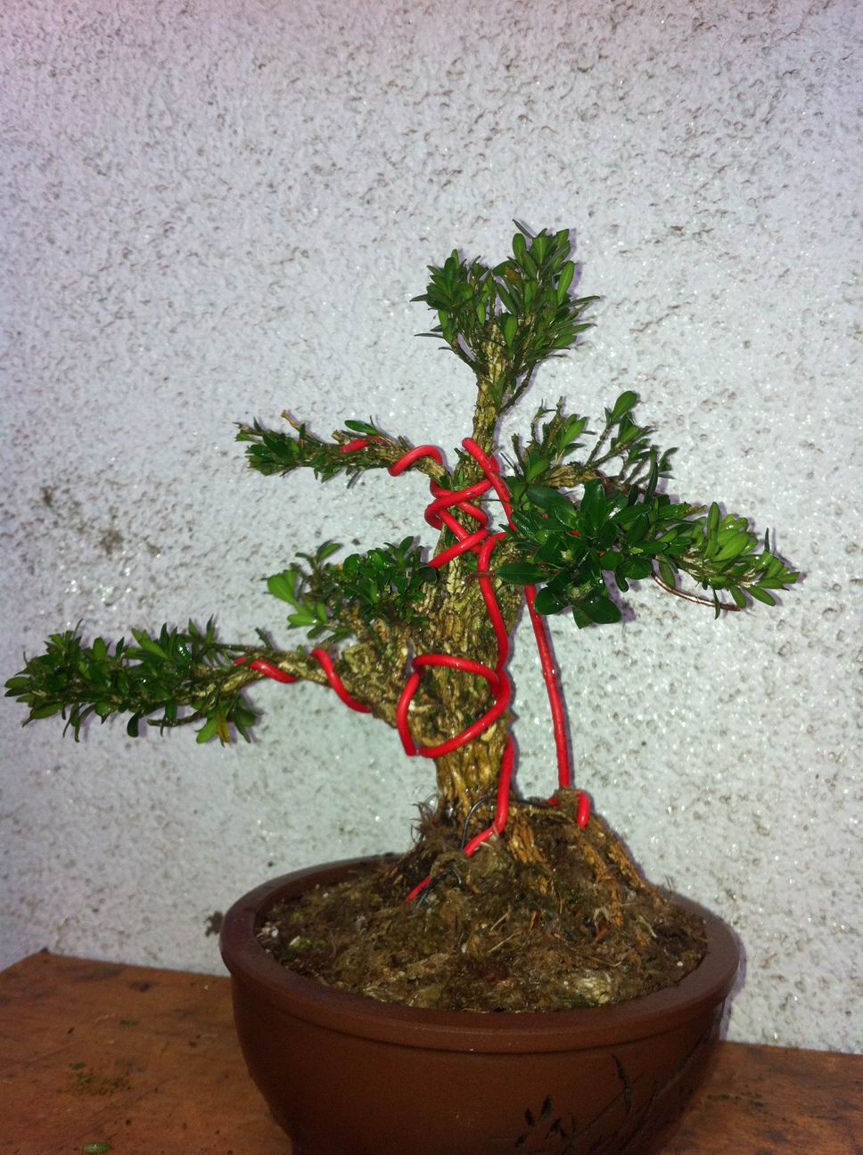 С ת IMG_0104.JPG
