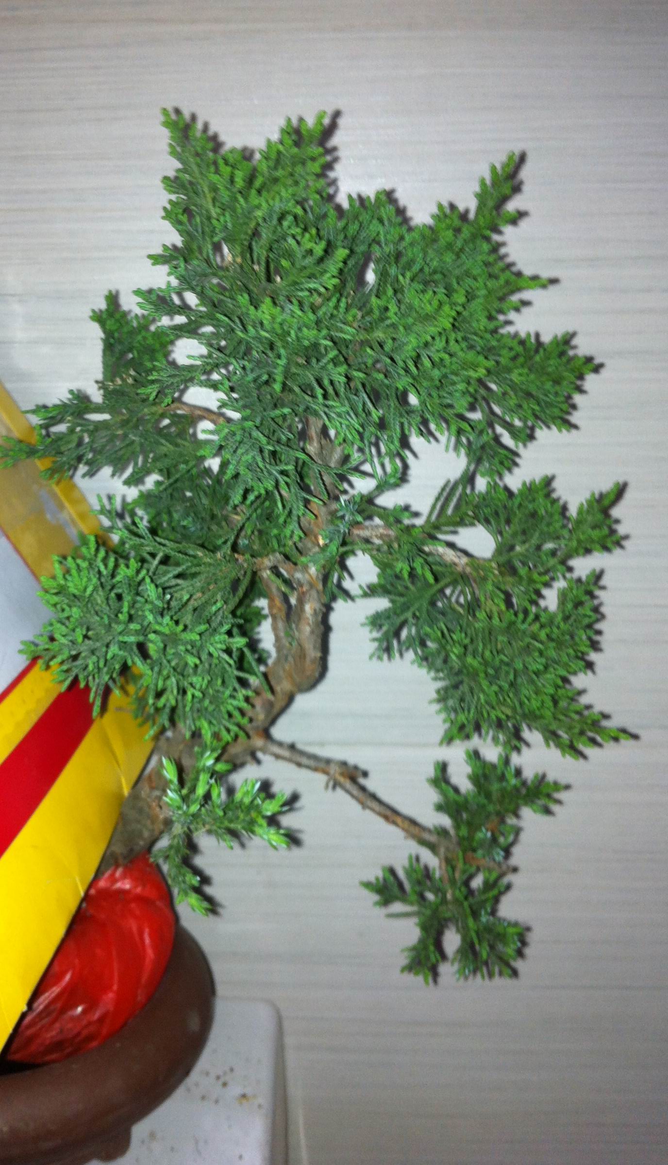 ת IMG_0149.JPG