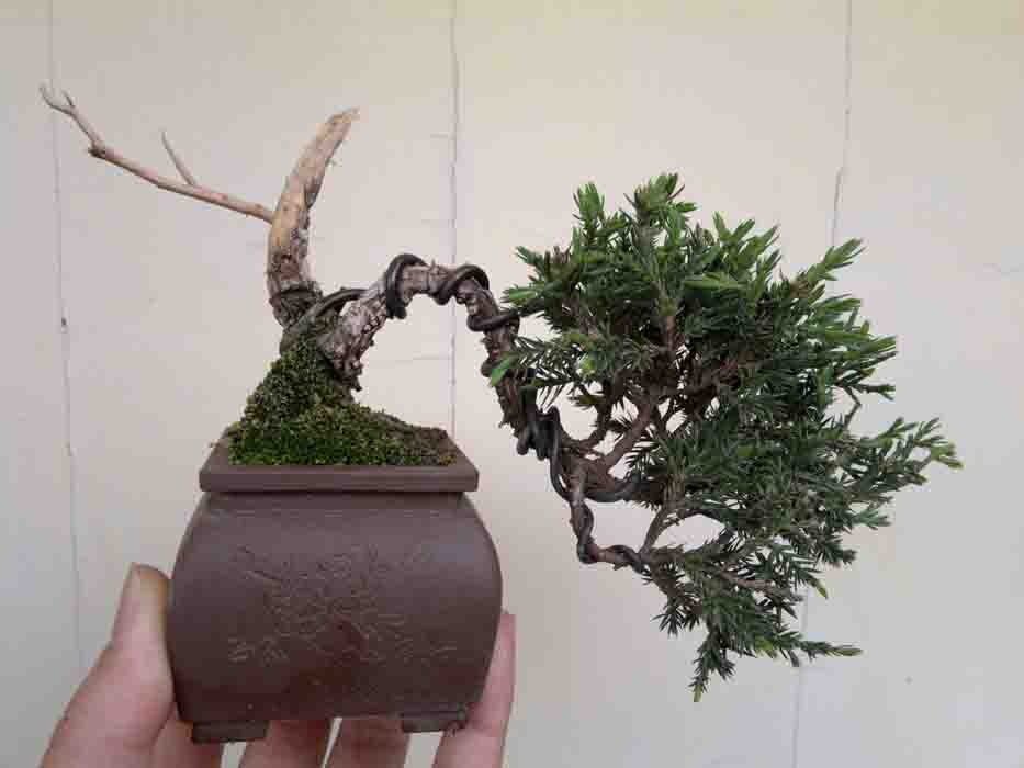 20120503907.jpg